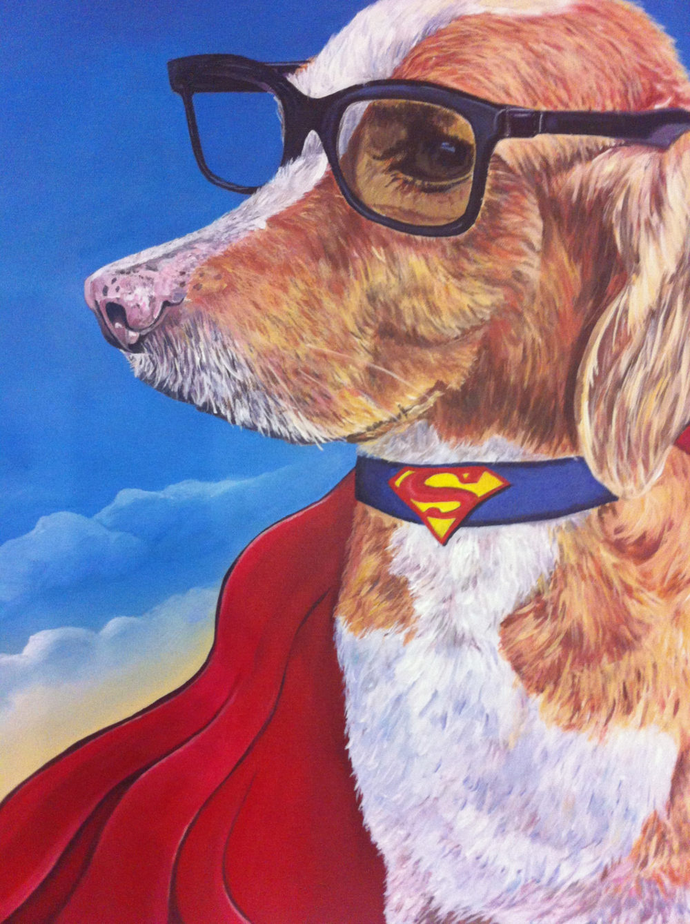Smarty the Super Dog